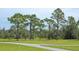 Open pasture with tall pine trees and grassy areas at 34452 Singletary Rd, Myakka City, FL 34251