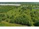 Aerial view of a vacant lot with mature trees and surrounding woods at 34452 Singletary Rd, Myakka City, FL 34251