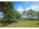 Pasture land with a mix of trees and green space at 34452 Singletary Rd, Myakka City, FL 34251