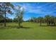 Open pasture area with trees, hammock, and distant trees at 34452 Singletary Rd, Myakka City, FL 34251