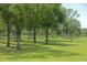 Pasture with lush green grass and a line of trees at 34452 Singletary Rd, Myakka City, FL 34251