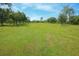 Expansive grassy pasture area with a variety of trees at 34452 Singletary Rd, Myakka City, FL 34251