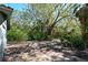 Lush, overgrown backyard with mature trees and vegetation at 600 Dream Island Rd, Longboat Key, FL 34228