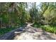 Overgrown path through lush vegetation leading to the property at 600 Dream Island Rd, Longboat Key, FL 34228