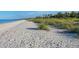 Picturesque beach view featuring white sand, turquoise water, and lush vegetation, creating a serene coastal setting at 280 Hidden Bay Dr # 203, Osprey, FL 34229