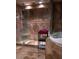 Spa-like bathroom with a large walk-in shower and a soaking tub at 655 N Clermont Rd, Venice, FL 34292