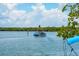A pontoon boat on the water near the community at 6038 Lilli Way # 6038, Bradenton, FL 34207