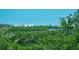 Community boasts lush landscaping and serene waterways at 409 N Point Rd # 501, Osprey, FL 34229