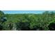 Scenic aerial view of abundant green landscape and a tranquil waterfront at 409 N Point Rd # 501, Osprey, FL 34229
