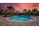 Resort-style pool with lounge chairs and sunset views in a tropical setting at 5309 Greenbrook Dr, Sarasota, FL 34238