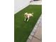 Artificial turf area perfect for pets at 129 12Th E Ave, Palmetto, FL 34221