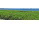 Stunning view of calm water and lush greenery at 1020 Tidewater Shores Loop # 108, Bradenton, FL 34208