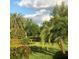 Tropical backyard with palm trees and manicured lawn at 13575 Salinas St, Venice, FL 34293