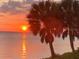 Orange sunset over calm water with palm trees in the foreground at 3301 Bay Shore Rd, Sarasota, FL 34234