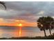 Bright sunset over the water with palm trees at 3301 Bay Shore Rd, Sarasota, FL 34234