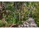 Driveway leading to home, surrounded by lush landscaping at 3301 Bay Shore Rd, Sarasota, FL 34234