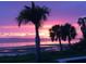 Purple and pink sunset over calm water with palm trees at 3301 Bay Shore Rd, Sarasota, FL 34234