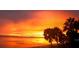 Bright orange sunset over calm water with palm trees at 3301 Bay Shore Rd, Sarasota, FL 34234