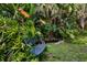 Serene garden with a metal bench near a pond at 3301 Bay Shore Rd, Sarasota, FL 34234