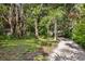 Driveway surrounded by tropical trees and foliage at 3301 Bay Shore Rd, Sarasota, FL 34234