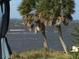 Scenic waterfront view with palm trees and calm water at 3301 Bay Shore Rd, Sarasota, FL 34234