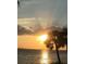 Stunning sunset over the water, palm trees in foreground at 3301 Bay Shore Rd, Sarasota, FL 34234