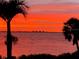 Stunning sunset over the water with palm trees in the foreground at 3301 Bay Shore Rd, Sarasota, FL 34234