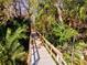 Nature trail with boardwalk through lush vegetation at 10115 Day Lily Ct, Bradenton, FL 34212