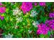 Lush landscape with vibrant pink and white flowers at 5209 Lake Overlook Ave, Bradenton, FL 34208