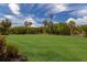 Lush green lawn with mature palm trees at 5209 Lake Overlook Ave, Bradenton, FL 34208