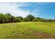Expansive backyard offers ample green space and privacy with mature trees at 7380 Mikasa Dr, Punta Gorda, FL 33950