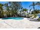 Tropical backyard oasis with a sparkling pool, palm trees, and lounge chairs at 506 69Th St, Holmes Beach, FL 34217