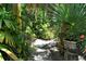 Secluded garden path surrounded by tropical plants at 3225 Duncan Way, Sarasota, FL 34239