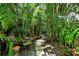 Peaceful garden path meanders through lush tropical foliage at 3225 Duncan Way, Sarasota, FL 34239
