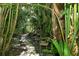 A stone path winds through a dense, verdant garden at 3225 Duncan Way, Sarasota, FL 34239