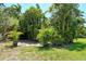 Tropical landscape with various palm trees and lush greenery at 3225 Duncan Way, Sarasota, FL 34239