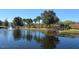 Serene community pond with a fountain and footbridge, surrounded by lush landscaping at 11415 52Nd E Ct, Parrish, FL 34219