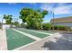 Community shuffleboard court with green surface at 2323 Waterbluff Pl # V314, Sarasota, FL 34231