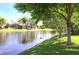Peaceful lake view with lush greenery and ducks at 5201 Highbury Cir, Sarasota, FL 34238