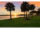 Stunning sunset over calm lake, palm trees silhouetted against the vibrant sky at 5730 Braden River Rd, Bradenton, FL 34203