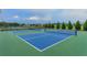 Two well-maintained pickleball courts at 14551 Skipping Stone Loop, Parrish, FL 34219