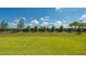 Landscaped backyard with lush green grass and privacy hedges at 14551 Skipping Stone Loop, Parrish, FL 34219