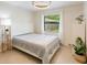 Comfortable bedroom featuring natural light from the window, accented with tasteful decor and a ceiling fan at 4175 Arrow Ln, Sarasota, FL 34232