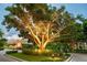 Landscaped grounds with a majestic tree at the entrance at 2151 Gulf Of Mexico Dr # 5, Longboat Key, FL 34228