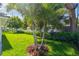 Landscaped front yard with lush grass and palm trees at 301 Aurora E St, Venice, FL 34285