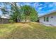 Spacious backyard with a mango tree and patio at 818 Padgett Ave, Sarasota, FL 34237