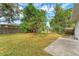 Fenced backyard with a mango tree and patio at 818 Padgett Ave, Sarasota, FL 34237
