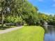 Scenic walkway over a pond with lush foliage at 818 Padgett Ave, Sarasota, FL 34237