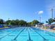 Large, rectangular lap pool with multiple lanes and a clear blue color at 818 Padgett Ave, Sarasota, FL 34237