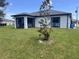 Private backyard with grassy lawn and mature tree at 2017 Lovoy Ct, North Port, FL 34288